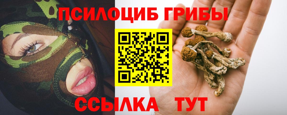 Хасавюрт  Псилоцибиновые грибы GOLDEN TEACHER  Вход с VPN 